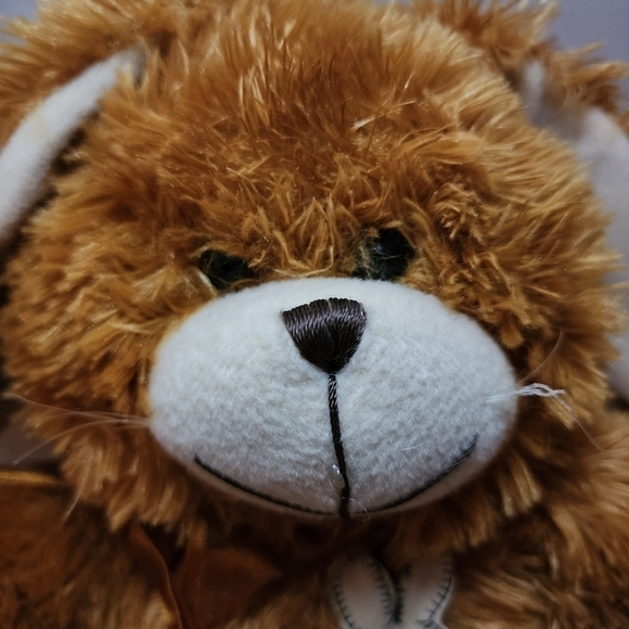 Sugar Loaf Acmi Sugarloaf Brown  Fuzzy Flop Ear Bunny Rabbit Easter Plush EUC - Picture 4 of 9